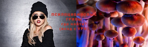spice Беломорск
