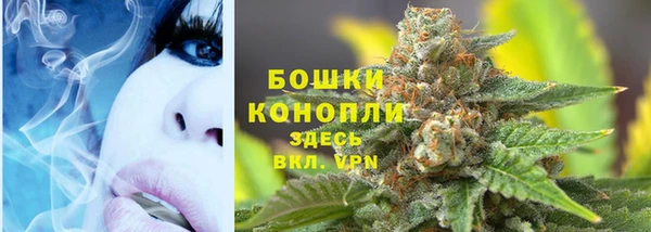spice Беломорск