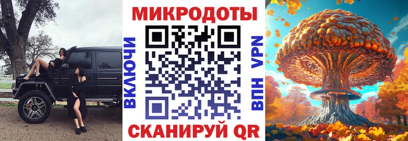 Галлюциногенные грибы Psilocybe  Луховицы 